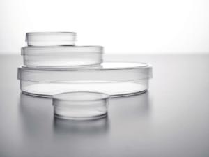 Falcon® Tissue Culture Dishes, Polystyrene, Sterile, by Corning